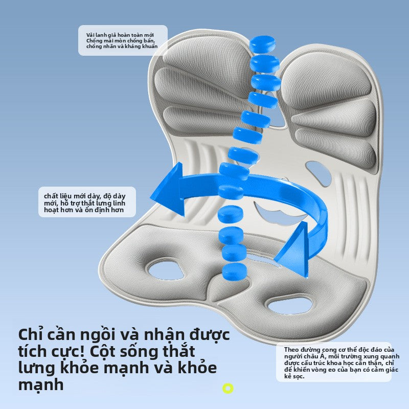 Đệm bảo vệ lưng dưới