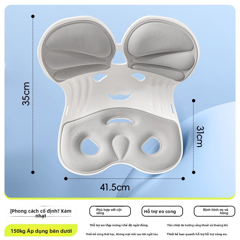 Đệm bảo vệ lưng dưới