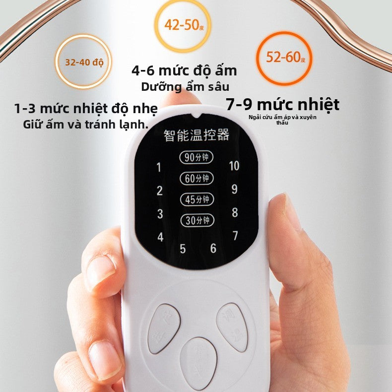 Túi nén nóng muối biển ngải Viễn Đường túi nén nóng muối thô điện cộng với vật lý trị liệu chuyển độ